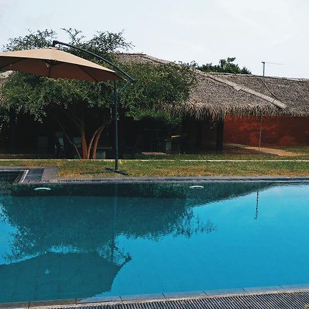 The Elephant Pass - Yala Tissamaharama Exterior foto