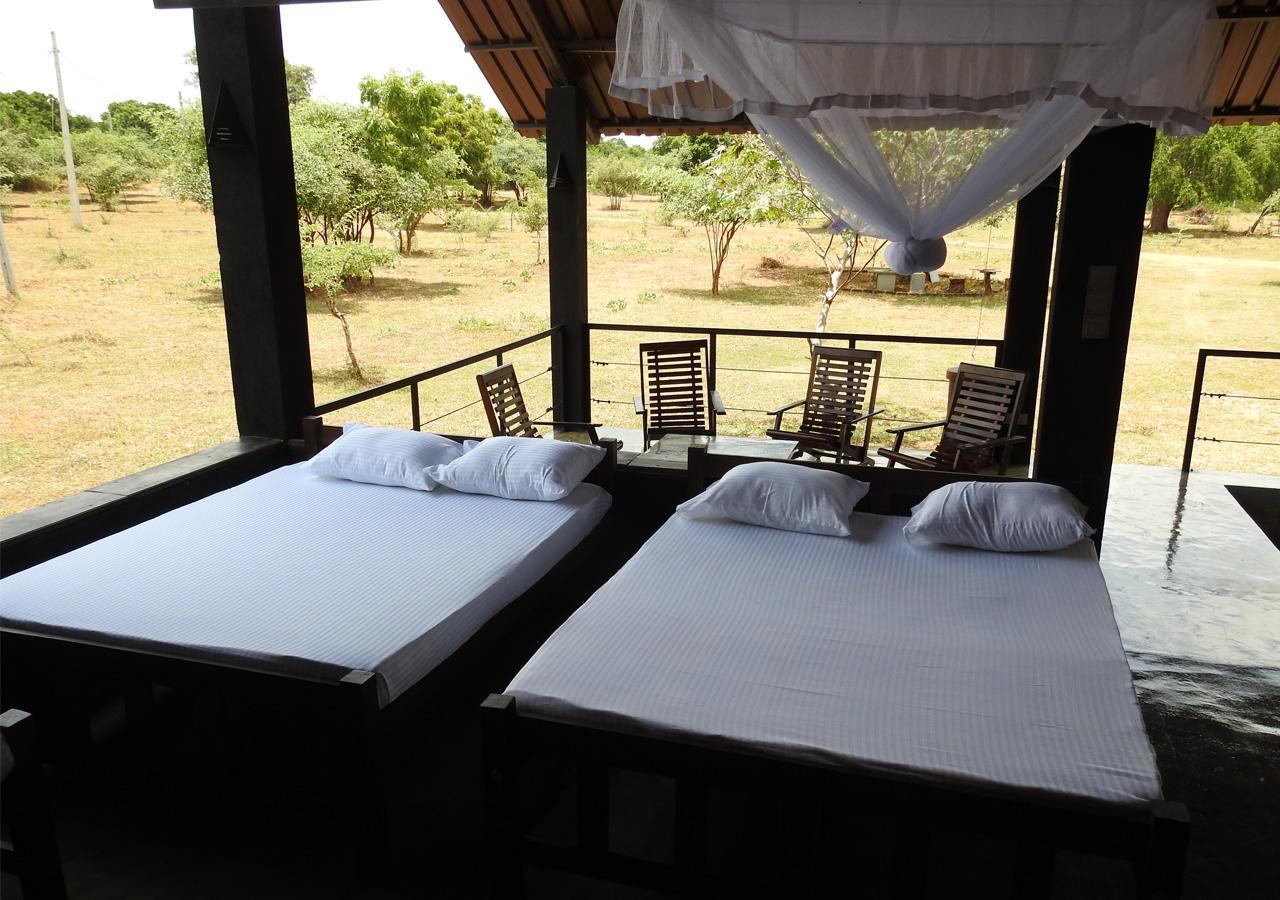 The Elephant Pass - Yala Tissamaharama Exterior foto