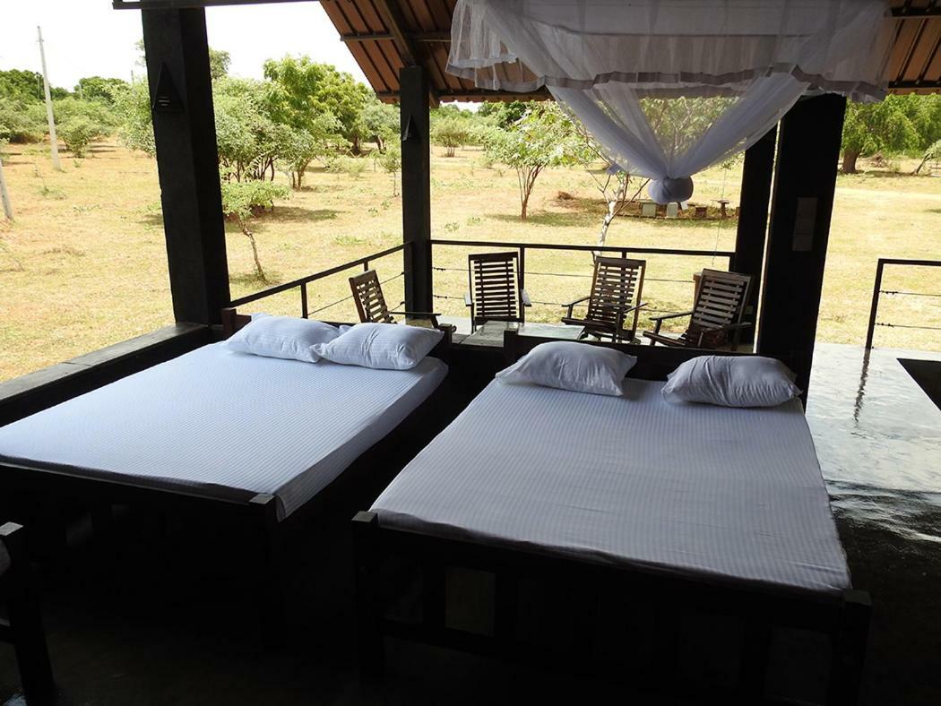The Elephant Pass - Yala Tissamaharama Exterior foto